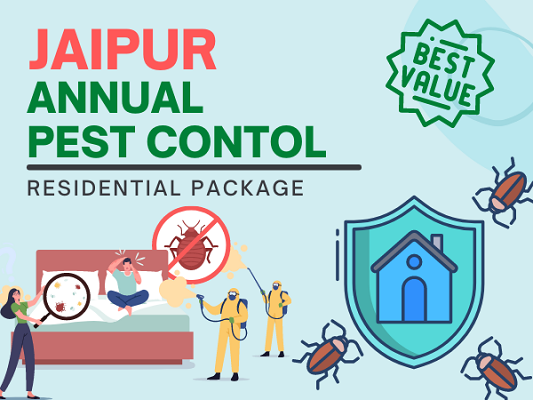 Pest Control in Jaipur