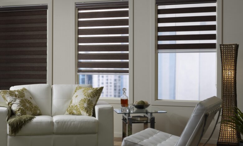 Zebra Blinds for Windows