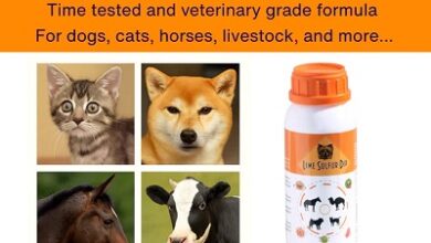 Sulfur Lime Dip for Dogs