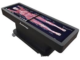 Anatomage Tables