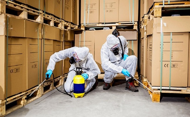 Pest Control in Food Industry in Jaipur