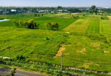 Plot for Sale in Delhi​