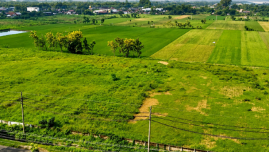 Plot for Sale in Delhi​