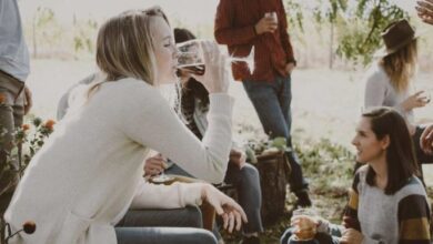 Guided Weed and Wine Tours Niagara
