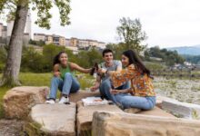 Guided Weed and Wine Tours Niagara
