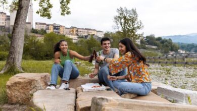 Guided Weed and Wine Tours Niagara