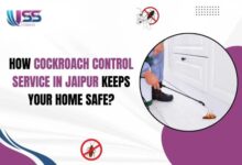 Best Pest Control for Cockroaches in Jaipur