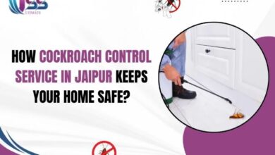 Best Pest Control for Cockroaches in Jaipur