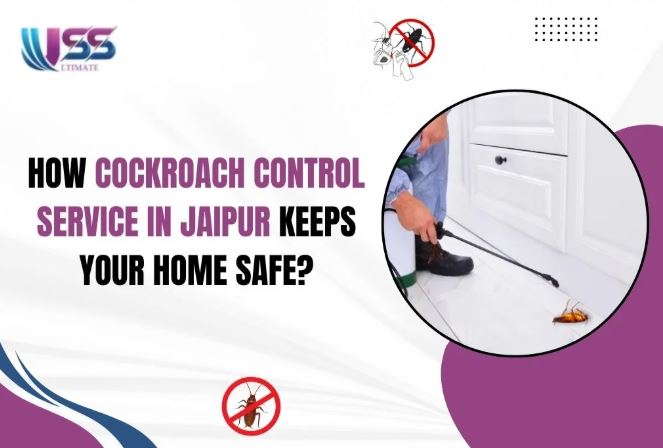 Best Pest Control for Cockroaches in Jaipur