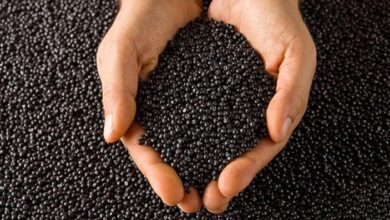 Black Masterbatch Manufacturers in India