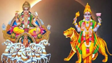 rahu shanti puja cost​