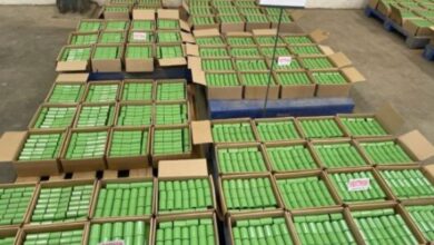 Fusion Bonded Epoxy Coating Service