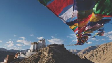 Nepal DMC