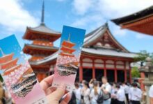 Universal Studios Japan 1 day pass